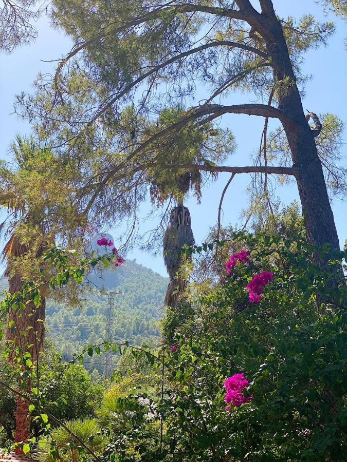 El Botanico De Sagra 호텔 외부 사진