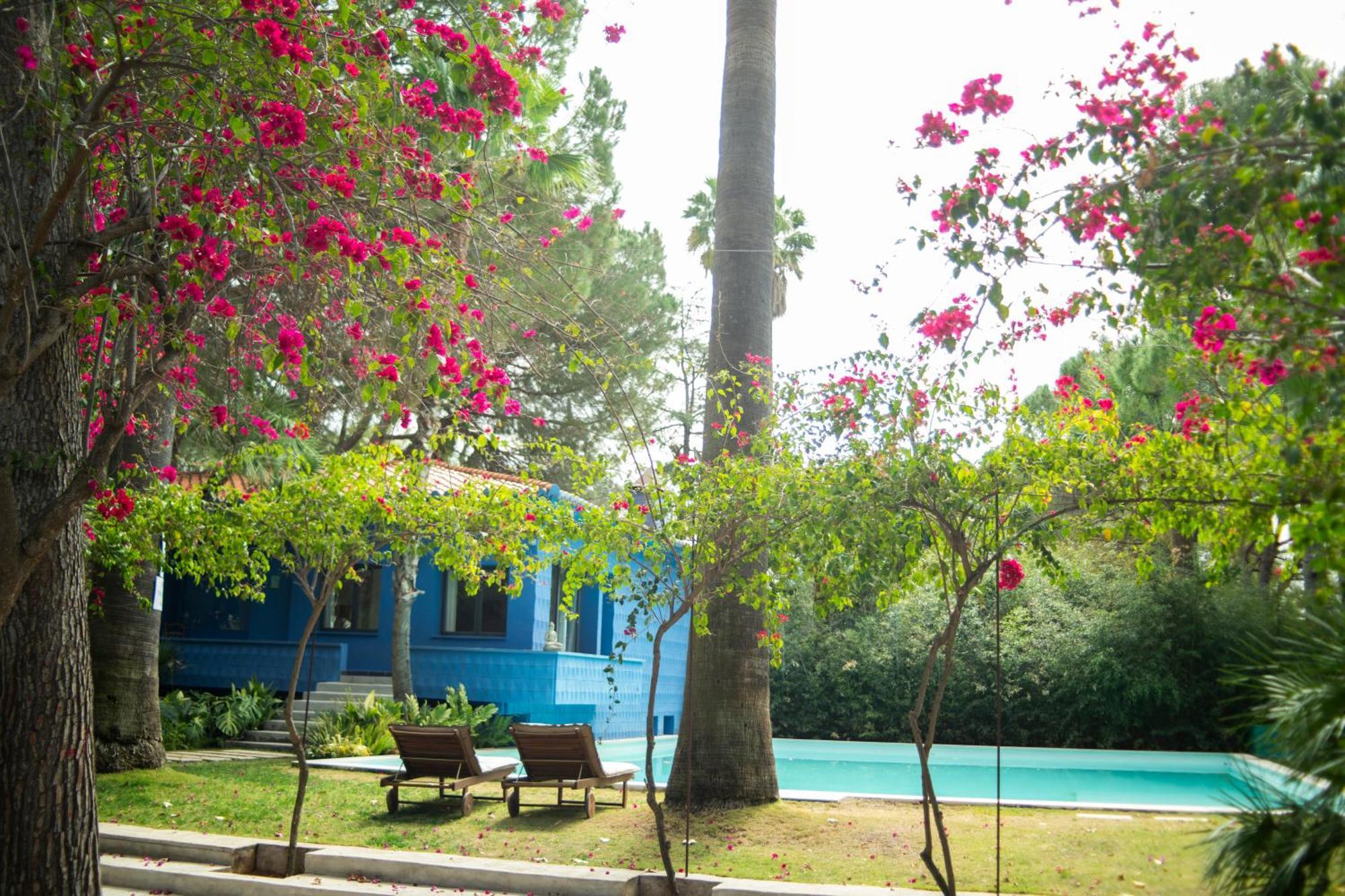 El Botanico De Sagra 호텔 외부 사진