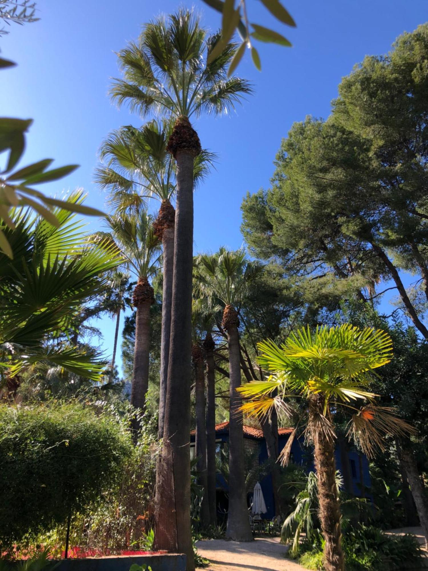 El Botanico De Sagra 호텔 외부 사진