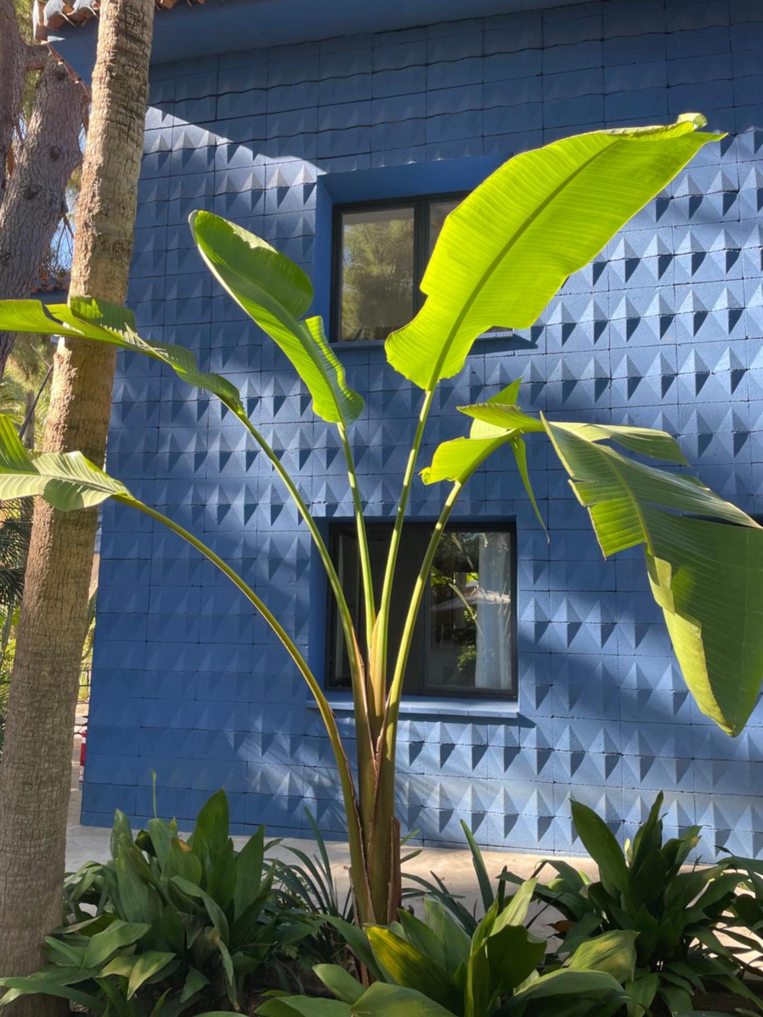 El Botanico De Sagra 호텔 외부 사진